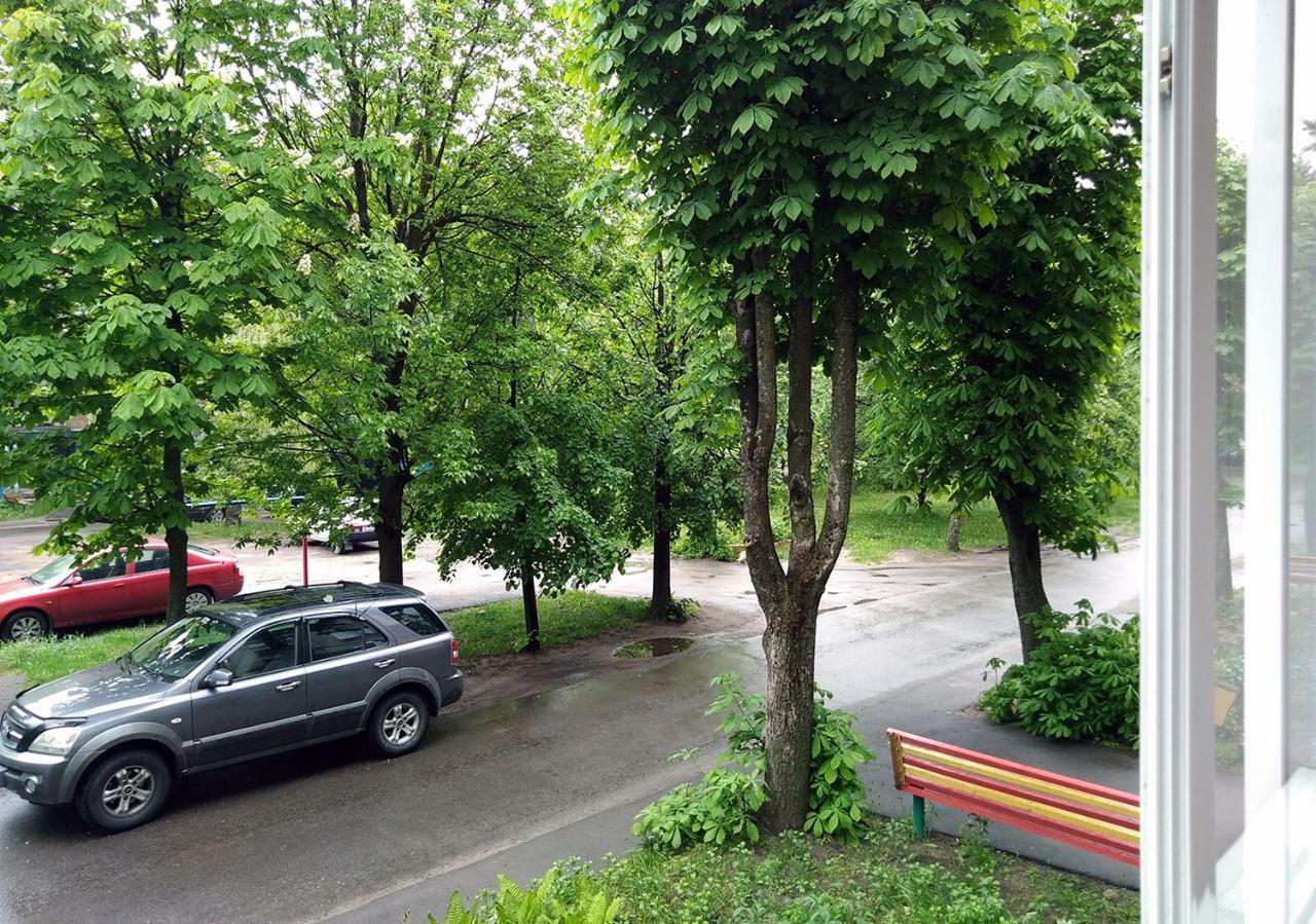 Уютная, Благоустроенная 2-Комнатная Квартира, Wifi Appartement Bobruisk Buitenkant foto